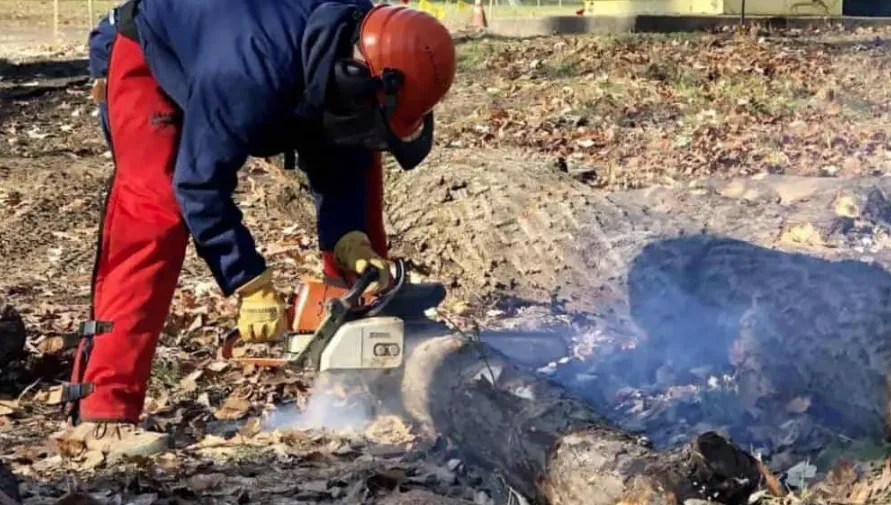 Why Is My Chainsaw Smoking And How To Fix?